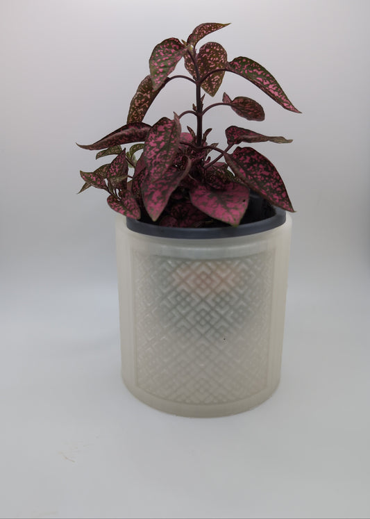 clear chinese square planter with red and green plant