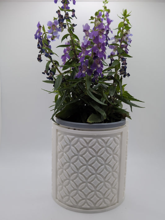 white circle star pattern planter with purple flowers