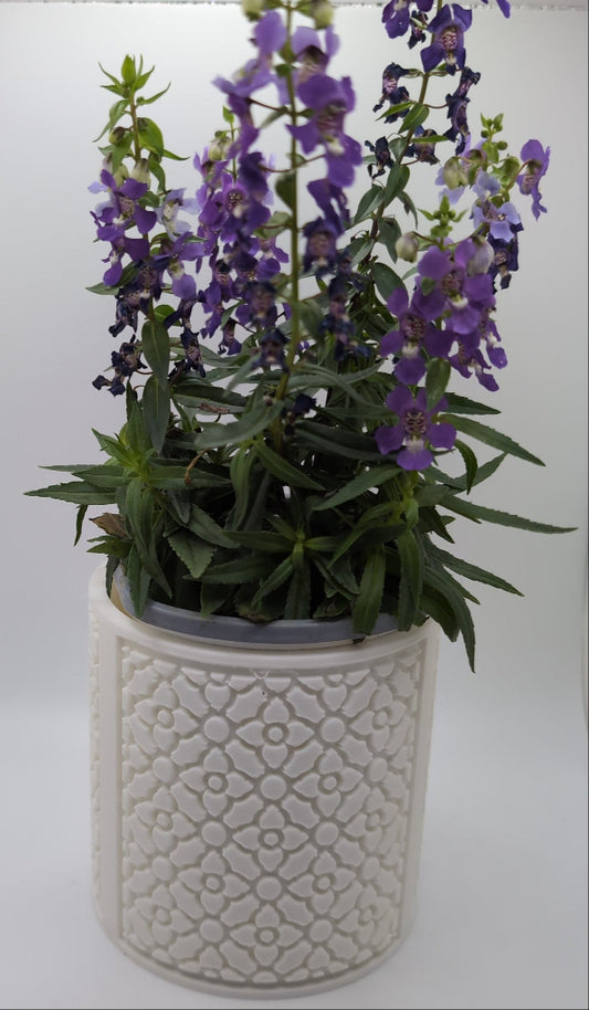 white flower pattern planter with purple flowers