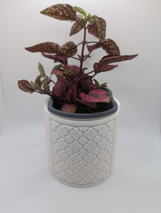 white rose pattern planter with green and red plant