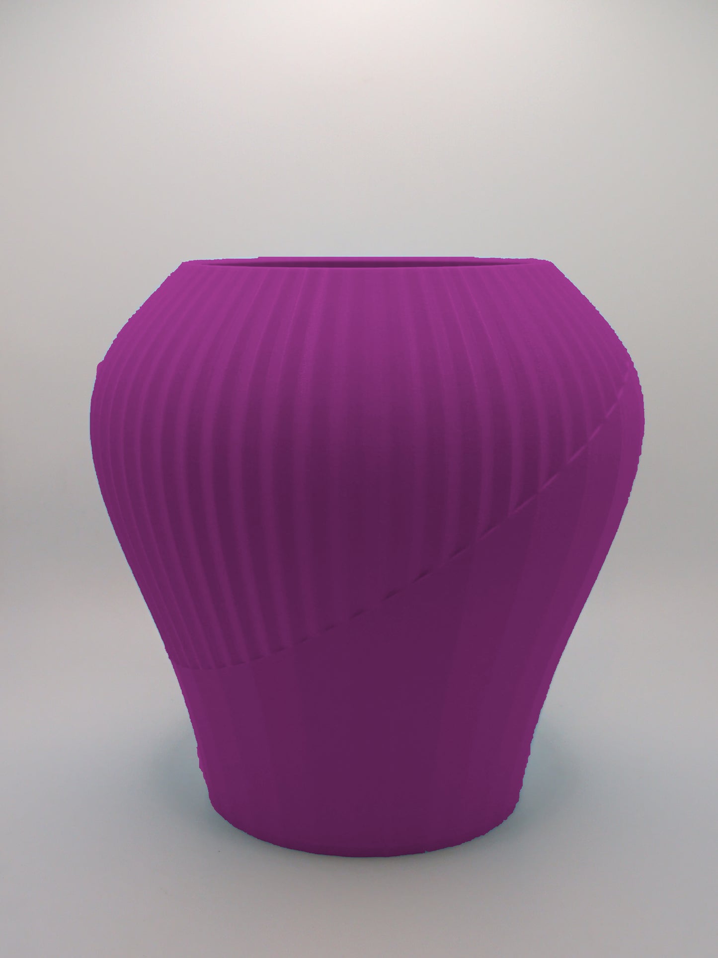 Cactus Rift Japandi Vase