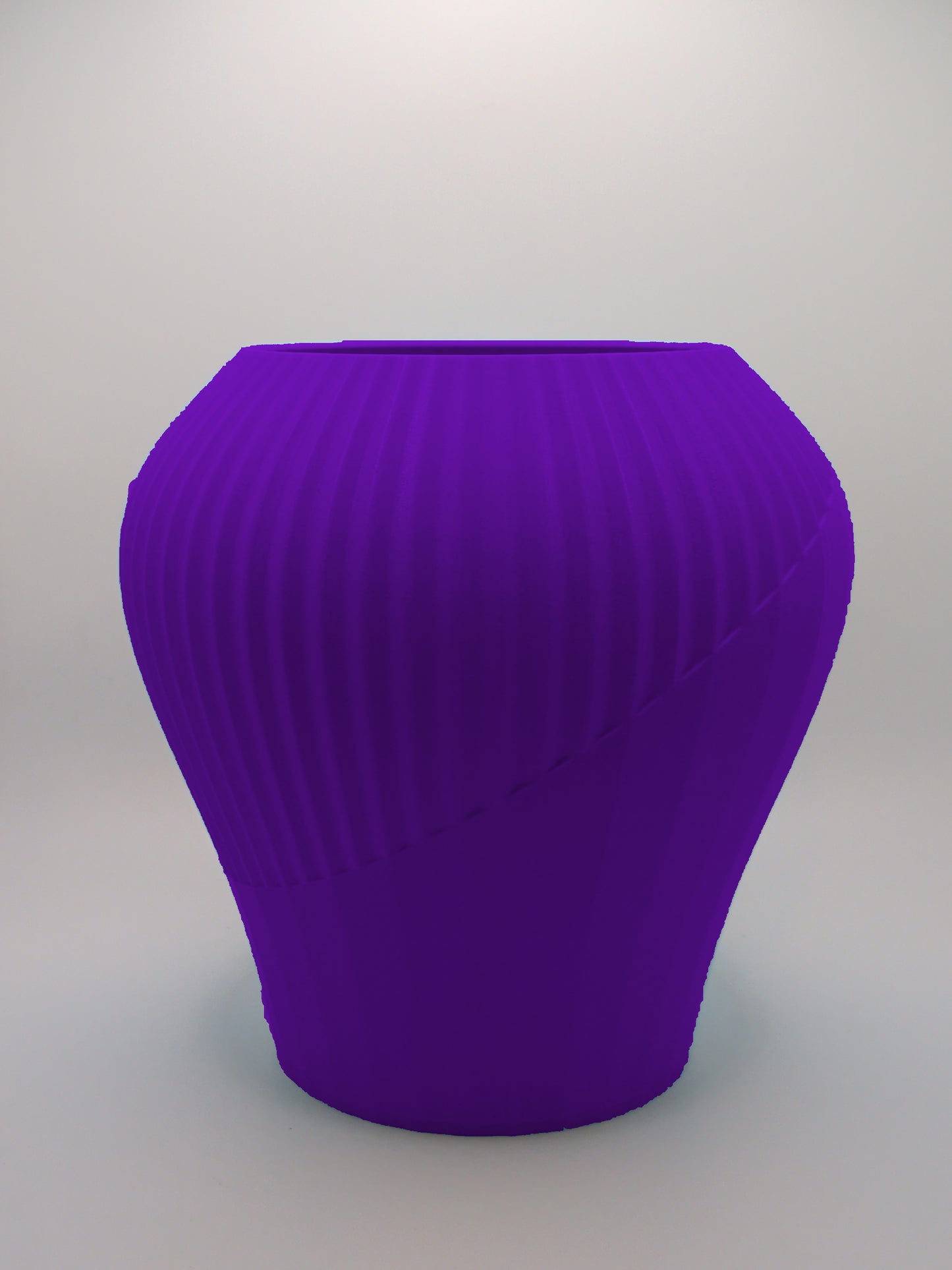 Cactus Rift Japandi Vase