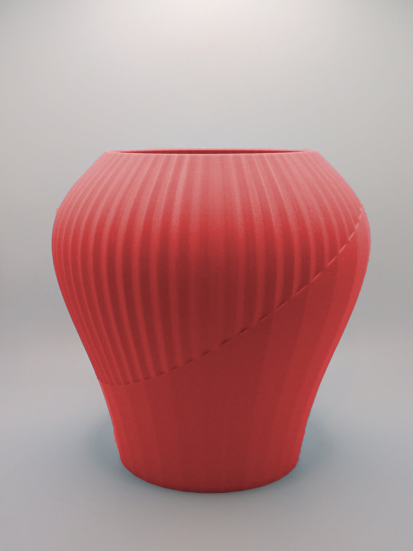 Cactus Rift Japandi Vase