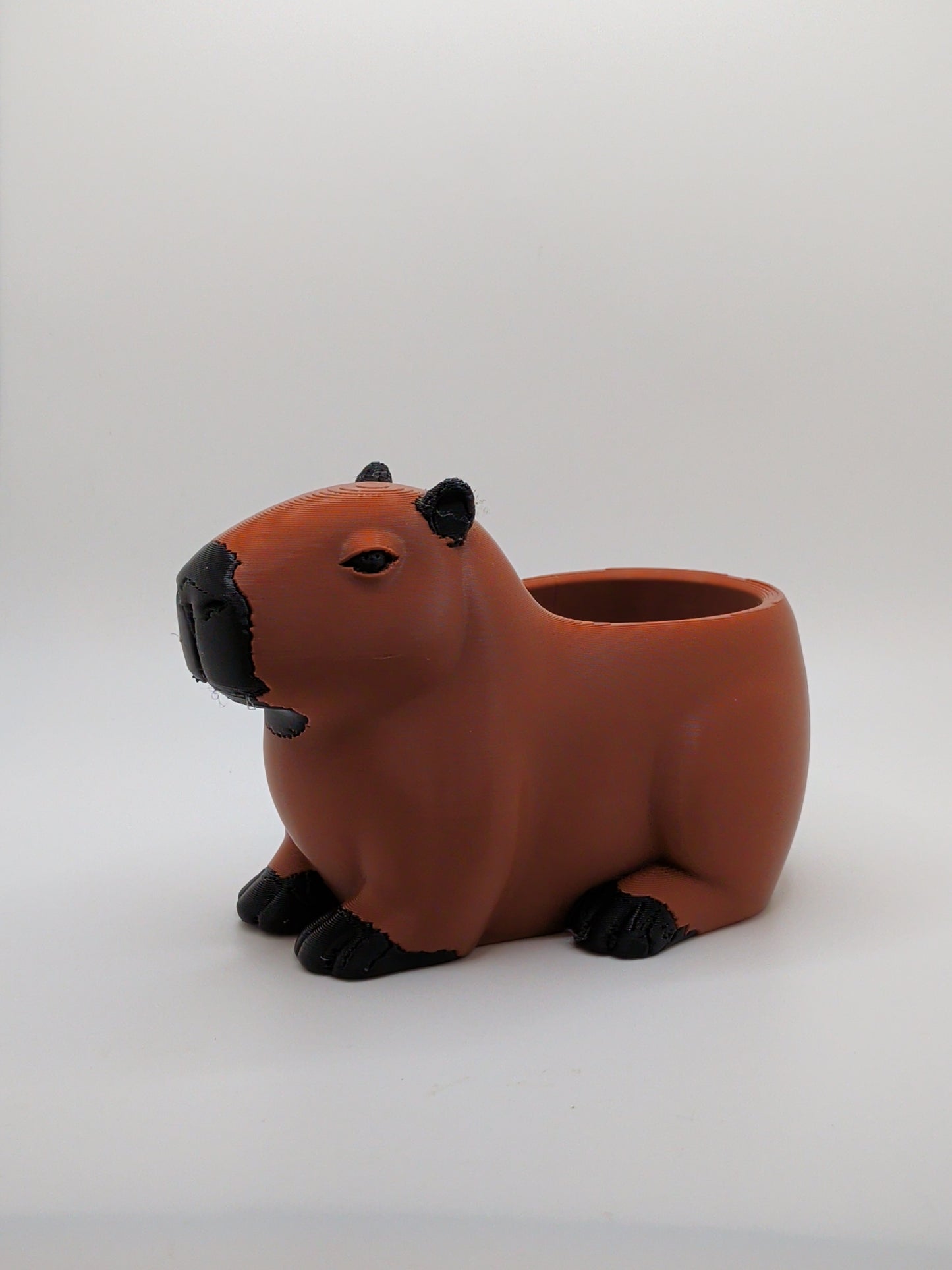 Capybara planter