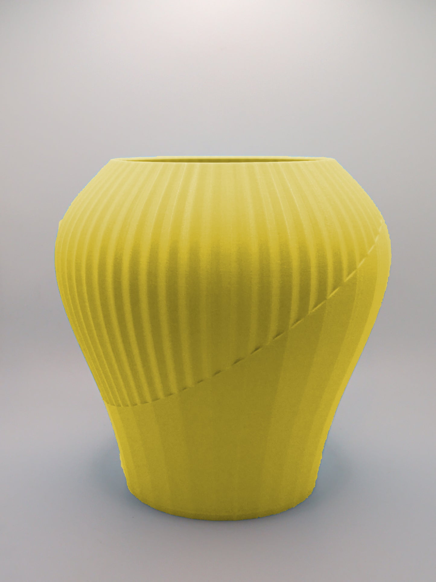 Cactus Rift Japandi Vase